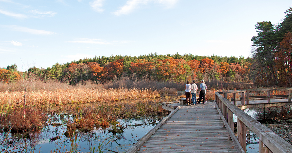 Mass Audubon’s Broadmoor Wildlife Sanctuary