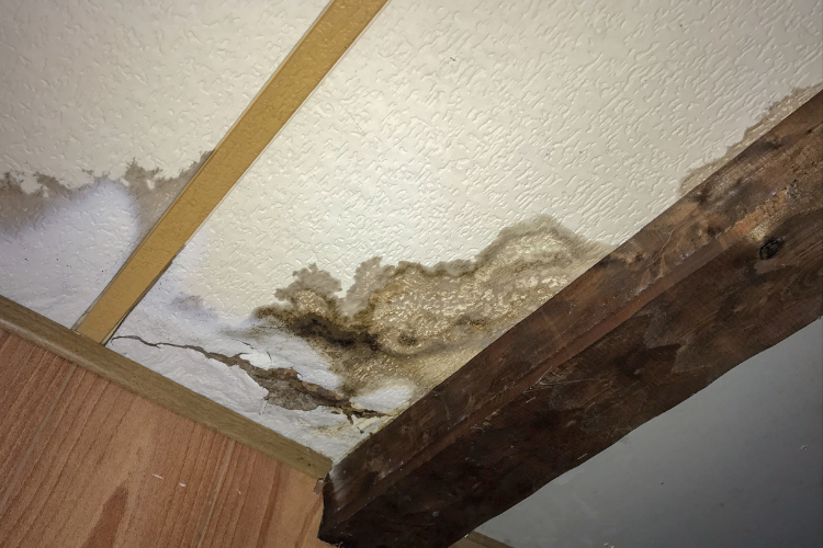 Common Causes of Leaky Ceilings in Natick, MA