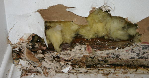 Three Steps to Repair Water-Damaged Drywall